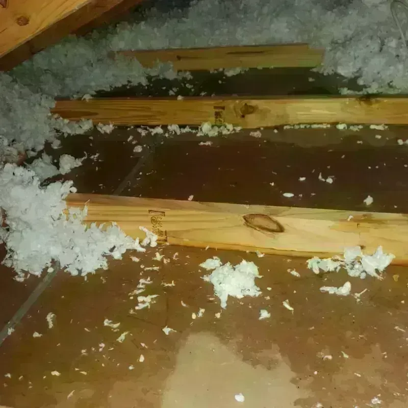 Attic Water Damage in Erlands Point-Kitsap Lake, WA