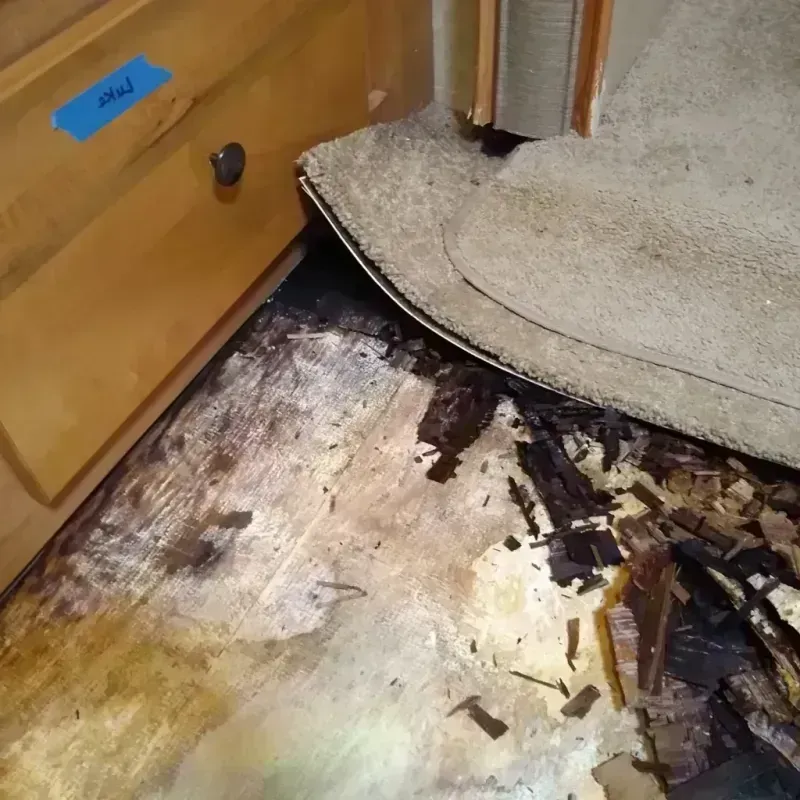 Wood Floor Water Damage in Erlands Point-Kitsap Lake, WA